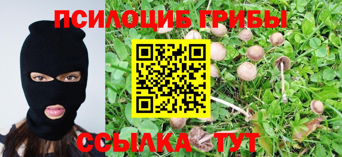 наркотики  Галлюциногенные грибы GOLDEN TEACHER  Вход с VPN  Рыбинск 